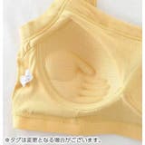 ハーフトップブラ ノンワイヤーブラ ブラジャー | PlusNao | 詳細画像15 