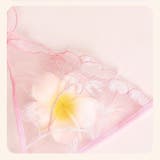 ブラ&ショーツセット 2点セット 上下セット | PlusNao | 詳細画像12 