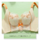 フルカップブラ 温感ブラ ブラジャー | PlusNao | 詳細画像8 