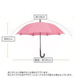 長傘 雨傘 レディース | PlusNao | 詳細画像19