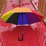 長傘 雨傘 レディース | PlusNao | 詳細画像2