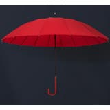 雨傘 長傘 レディース | PlusNao | 詳細画像2