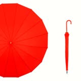 雨傘 長傘 レディース | PlusNao | 詳細画像5