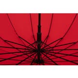 雨傘 長傘 レディース | PlusNao | 詳細画像8