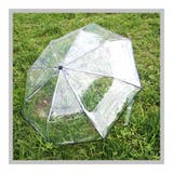 折りたたみ傘 雨傘 レディース | PlusNao | 詳細画像6 