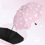 折りたたみ傘 折り畳み傘 レディース | PlusNao | 詳細画像10 