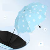 折りたたみ傘 折り畳み傘 レディース | PlusNao | 詳細画像11 