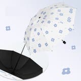 折りたたみ傘 折り畳み傘 レディース | PlusNao | 詳細画像9 