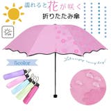 折りたたみ傘 晴雨兼用 雨傘 | PlusNao | 詳細画像1 