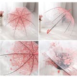 傘 ビニール傘 雨傘 | PlusNao | 詳細画像6 