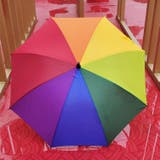 長傘 雨傘 レディース | PlusNao | 詳細画像5