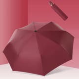 折りたたみ傘 雨傘 日傘 | PlusNao | 詳細画像5 