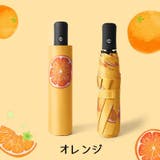 折りたたみ傘 晴雨兼用 レディース | PlusNao | 詳細画像17 
