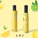 折りたたみ傘 晴雨兼用 レディース | PlusNao | 詳細画像18 