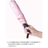 折りたたみ傘 晴雨兼用 レディース | PlusNao | 詳細画像2 