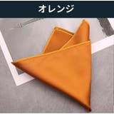 ポケットチーフ チーフ メンズ | PlusNao | 詳細画像11 
