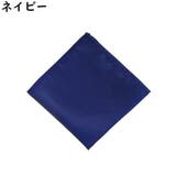 ポケットチーフ メンズ 無地 | PlusNao | 詳細画像11