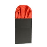 ポケットモチーフ メンズ 男性 | PlusNao | 詳細画像4 