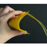 ネームタグ ラゲージタグ ラゲッジタグ | PlusNao | 詳細画像12 