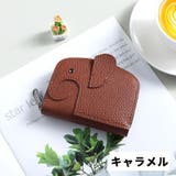 カードケース コインケース カードホルダー | PlusNao | 詳細画像12