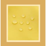 化粧ポーチ メイクポーチ コスメポーチ | PlusNao | 詳細画像12