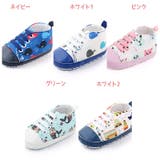 ベビー キッズ ベビーシューズ | PlusNao | 詳細画像19 
