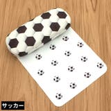 メガネケース 眼鏡ケース めがね入れ | PlusNao | 詳細画像19 