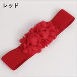 ベルト サッシュベルト ゴムベルト | PlusNao | 詳細画像14 