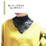 つけ襟 付け襟 レディース | PlusNao | 詳細画像3