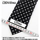 ネクタイ メンズ 男性用 | PlusNao | 詳細画像9