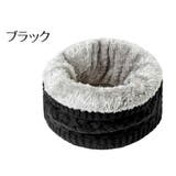 ネックウォーマー ニット レディース | PlusNao | 詳細画像10 