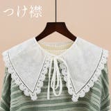 つけ襟 付け襟 フェイクカラー | PlusNao | 詳細画像1