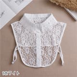 つけ襟 付け襟 レディース | PlusNao | 詳細画像2 