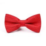 蝶ネクタイ リボンタイ キッズ | PlusNao | 詳細画像14 