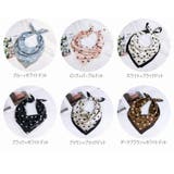 レディーススカーフ 女性用 カラバリ豊富 | PlusNao | 詳細画像18 