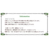 ベルト 女性 レディース | PlusNao | 詳細画像9