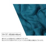 ソリッドカラー ストール レディース | PlusNao | 詳細画像12 