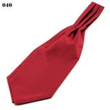 アスコットタイ メンズ 男性 | PlusNao | 詳細画像2 