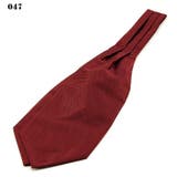 アスコットタイ メンズ 男性 | PlusNao | 詳細画像9 