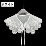 付け襟 つけ襟 レディース | PlusNao | 詳細画像9 