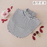 付け襟 つけ襟 付けタートル | PlusNao | 詳細画像16 
