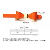 ベルト レディース 細ベルト | PlusNao | 詳細画像18