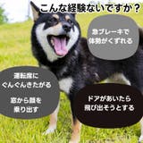 犬用シートベルト リード ベルト紐 | PlusNao | 詳細画像2 