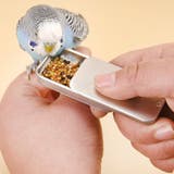 鳥用フードボックス バードフィーダー 給餌器 | PlusNao | 詳細画像2