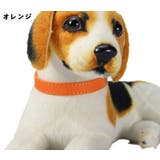 首輪 ペット用品 犬用 | PlusNao | 詳細画像14