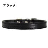 首輪 ペット用品 犬用 | PlusNao | 詳細画像8