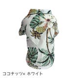 ペットウェア ドッグウェア 犬服 | PlusNao | 詳細画像12