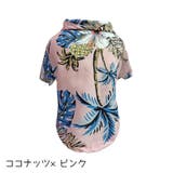 ペットウェア ドッグウェア 犬服 | PlusNao | 詳細画像13