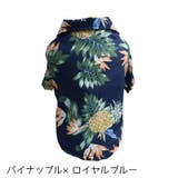 ペットウェア ドッグウェア 犬服 | PlusNao | 詳細画像16