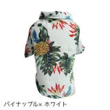 ペットウェア ドッグウェア 犬服 | PlusNao | 詳細画像17